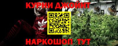 сатива Можайск