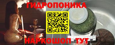 соль ск Можга